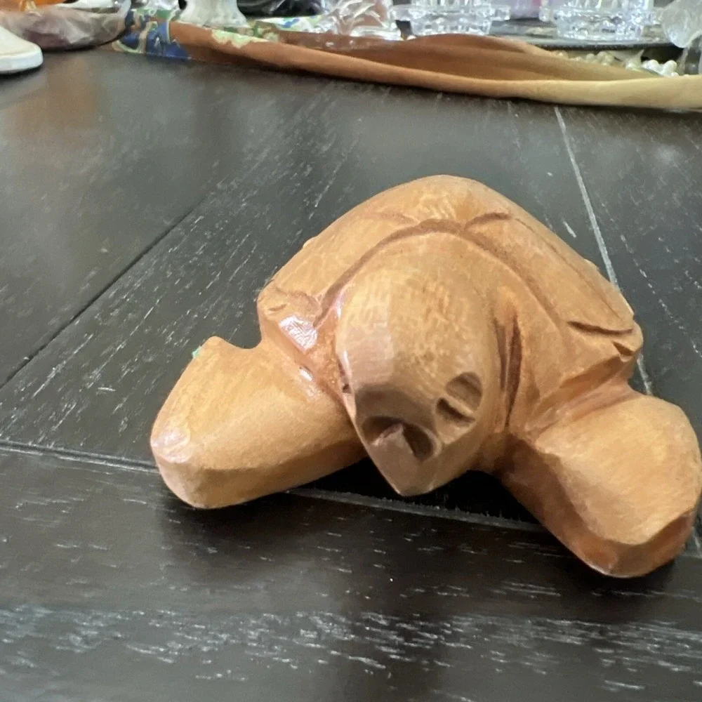 Wood Carved Turtle 5